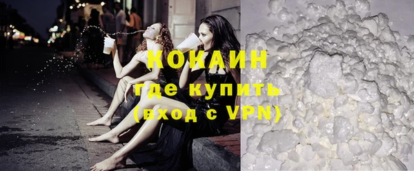 индика Алзамай