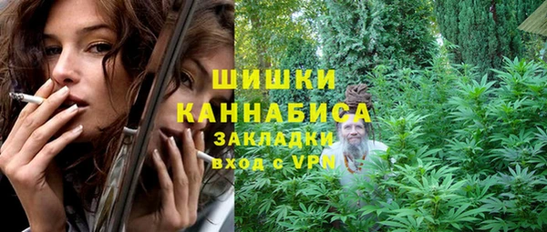 индика Алзамай