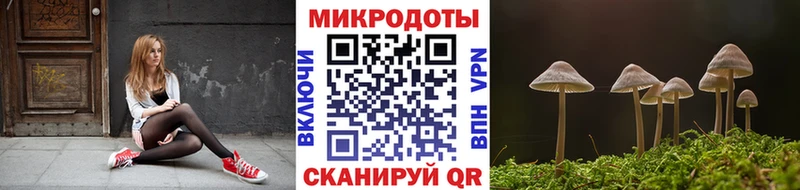 купить наркоту  Сортавала  Псилоцибиновые грибы Cubensis 