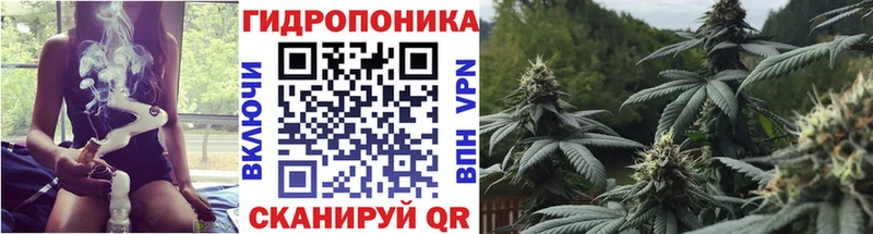 где купить наркоту Сортавала kraken Канабис ГИДРОПОН